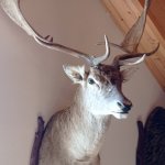 phoca_thumb_m_do hjovny 65 Fotogalerie